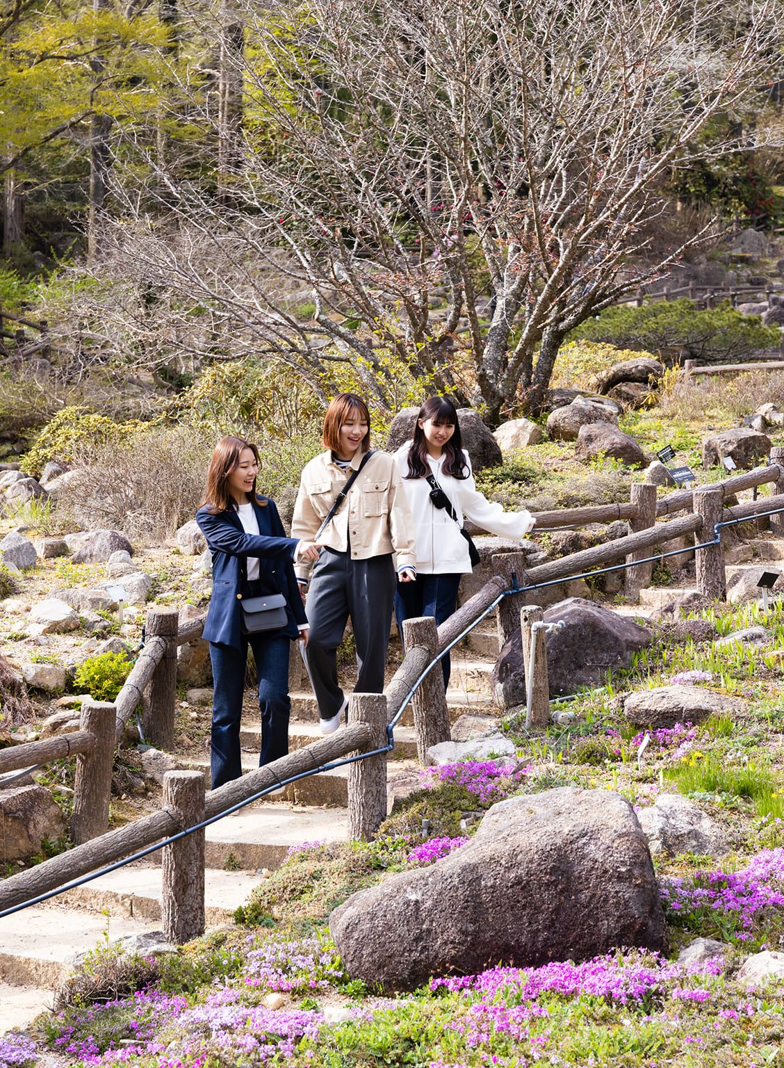 六甲高山植物園で辿る、牧野富太郎と神戸の25年間